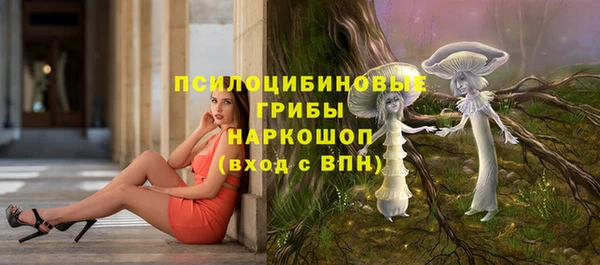 бутират Белокуриха