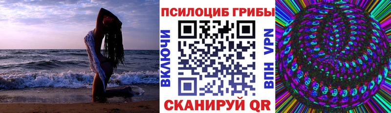 blacksprut сайт  Щучье  Псилоцибиновые грибы мухоморы 